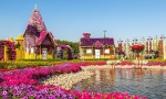 Miracle Garden