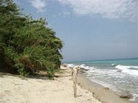 Pensjonat Posejdon - Afitos Chalkidiki Grecja