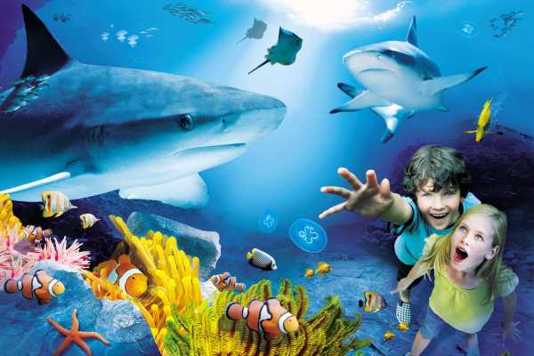 Najnowsze promocje na Wodny Świat Sealife