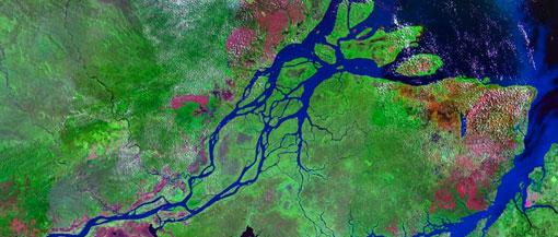 Amazonia