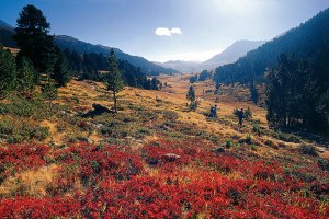 Weitwandern Nationalpark